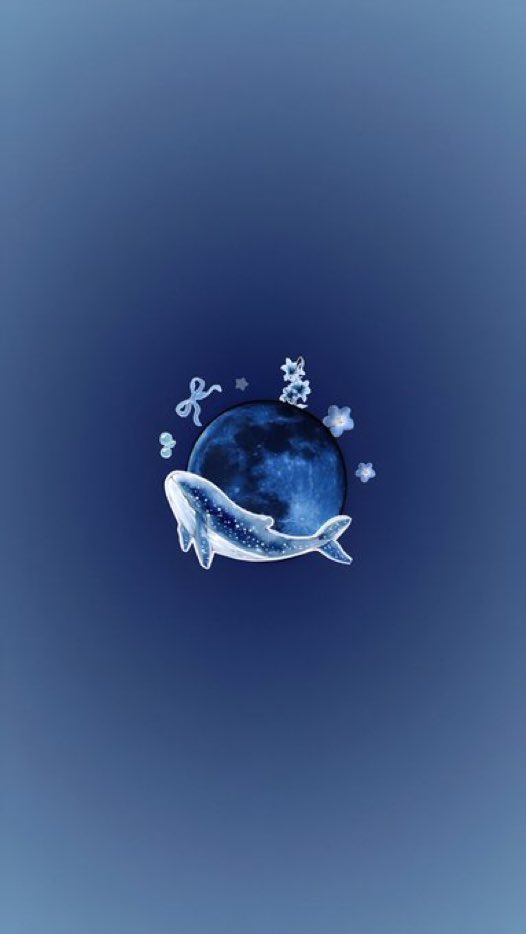 _Naturaee's tweet photo. ocean life 🐬🌊 https://t.co/QBhPTR0iq2
