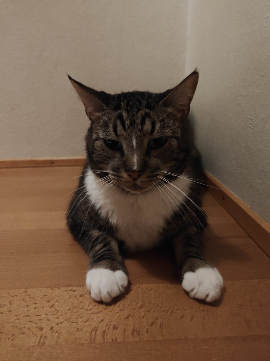 Rasmusaj3's tweet photo. https://t.co/WlcogTrFMn