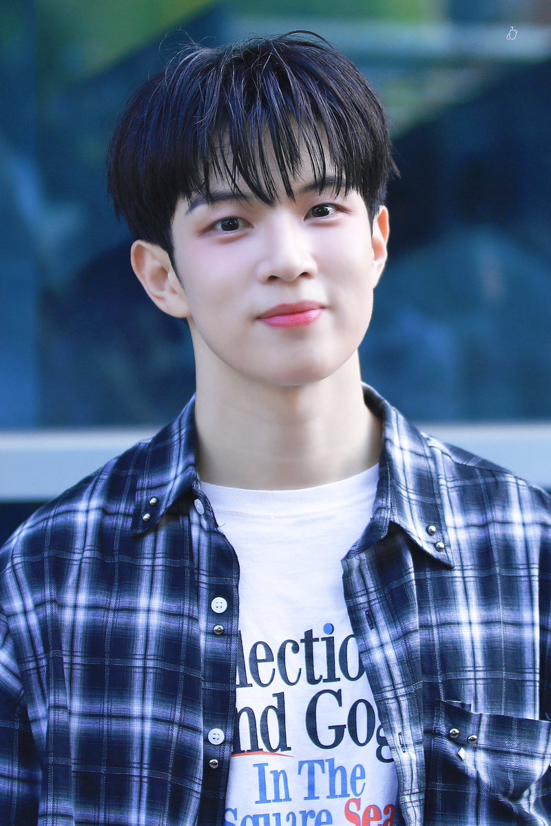 새싹행성 tweet media