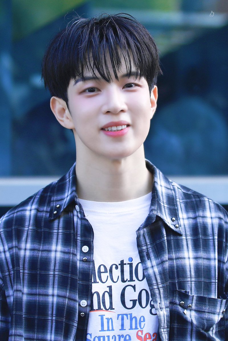 새싹행성 tweet media