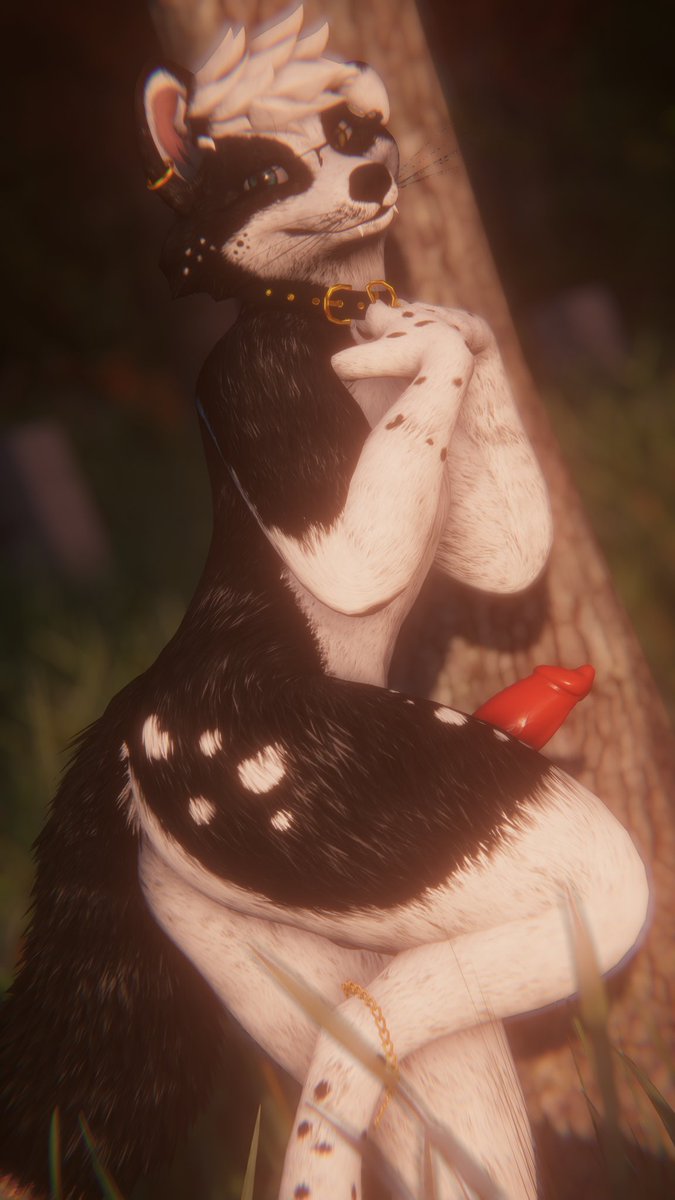 SkyleCollie's tweet photo. Looks like ya caught this collie creature hanging out in the woods! 

📷 By @WildDoggyVR https://t.co/oAoJCwamV6