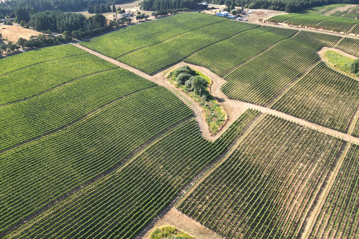 CliffGMJ's tweet photo. Farmland as the Original Alternative Asset - by Craig Wichner of Farmland LP
Farmland is a strong asset for its stability, #diversification benefits &amp; improved returns through modern #farming practices-- https://t.co/kkAUXRjWHP  || #vc #sustainableinvesting #advisors #organics https://t.co/kZOT7jl7V5
