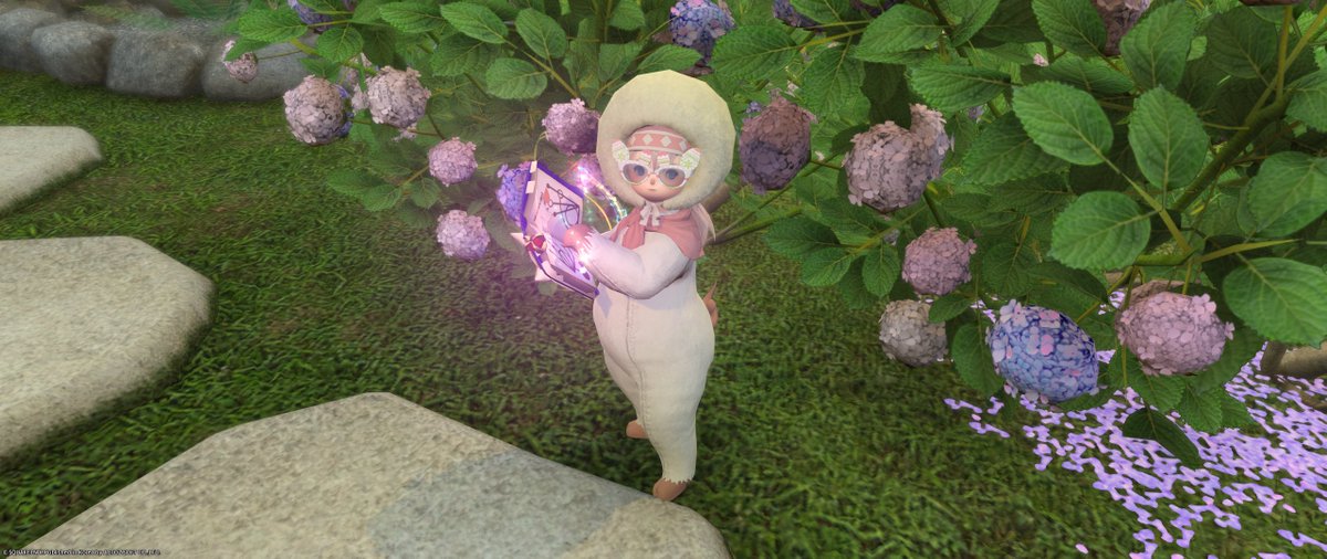 nizi_ff14's tweet photo. 돼징 https://t.co/8LW8mQ6yO6