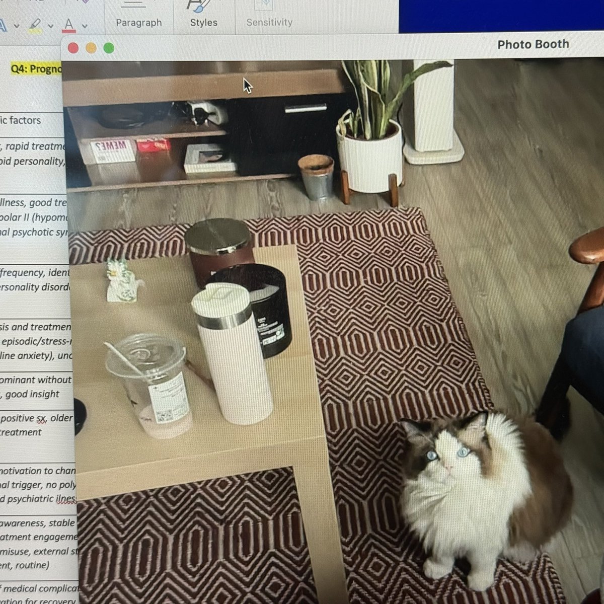 23_23am's tweet photo. study date with doudou! ⭐️📚🧠 https://t.co/MpINkaIfk5