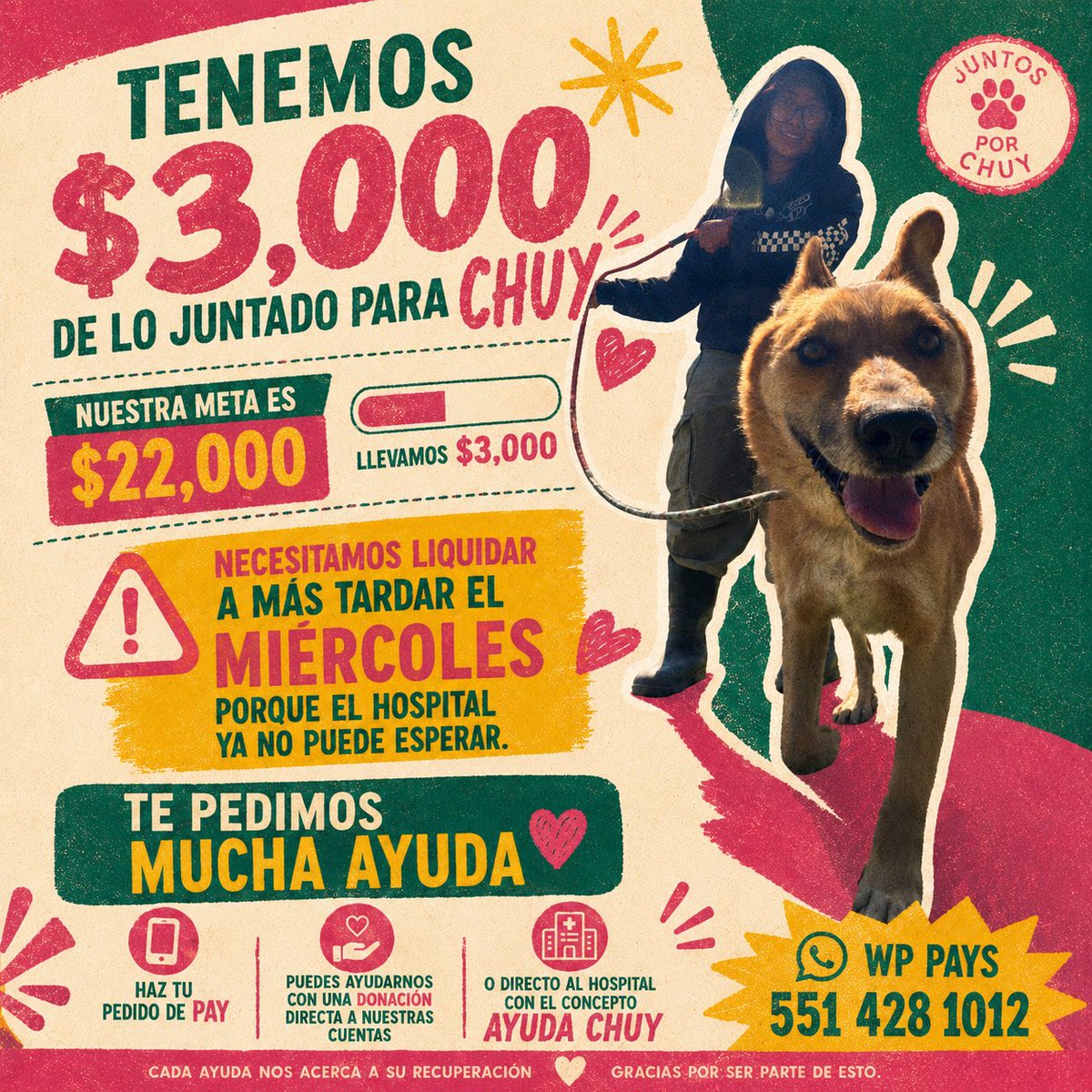 Fundación Toby tweet media