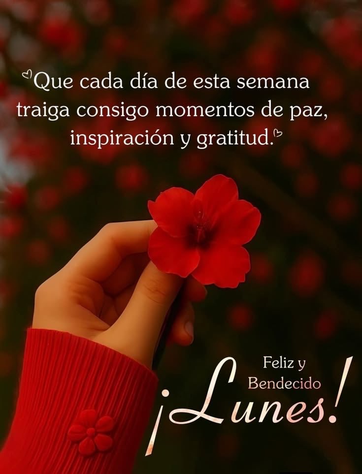 Bertha Lila Perez tweet media