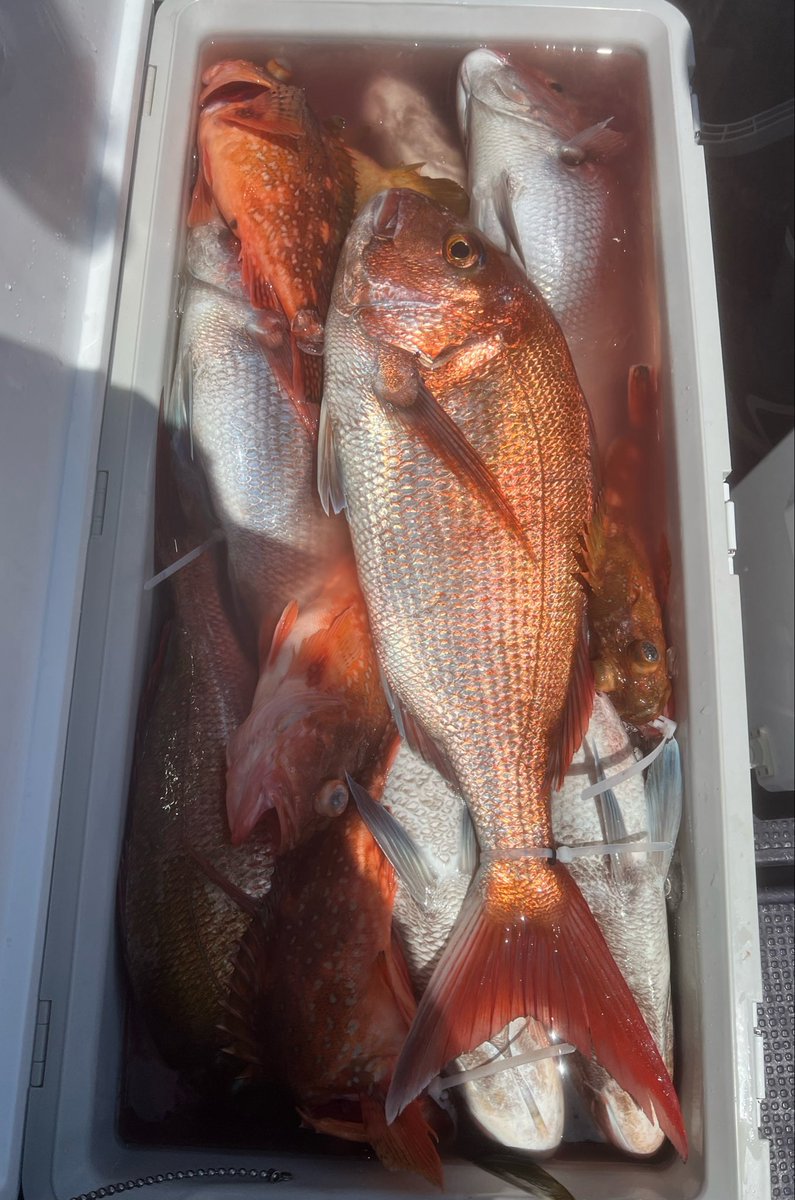 nasby577's tweet photo. 魚捌きすぎて、鼻腔の奥の方で市場開いてるんかってぐらい臭い残っててすごく不快。 https://t.co/rcjJGu9PPx