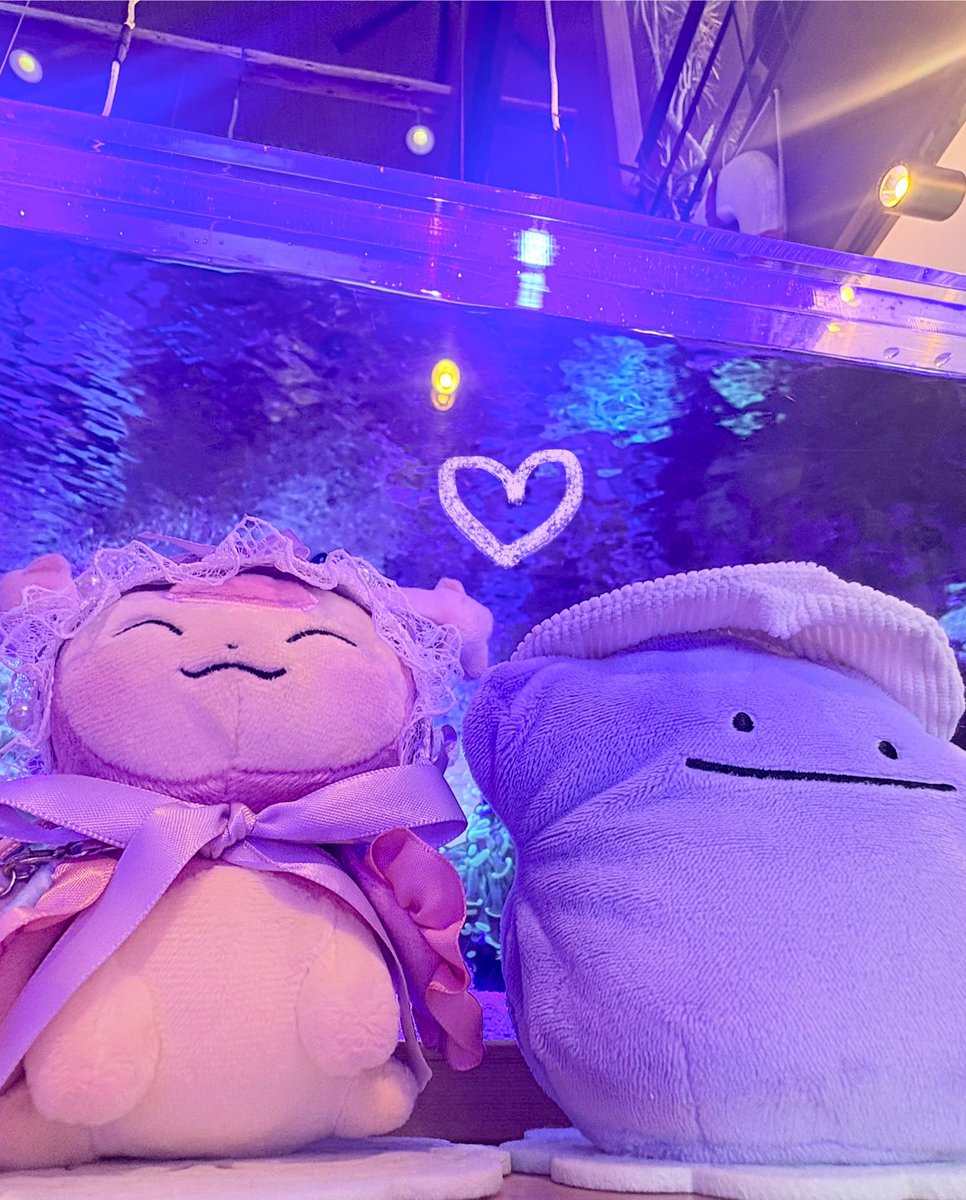 ⸜💜⸝えね tweet media