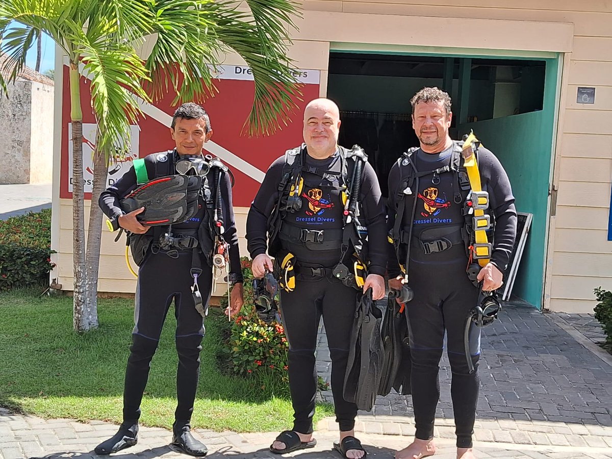 DRESSELDIVERS tweet media