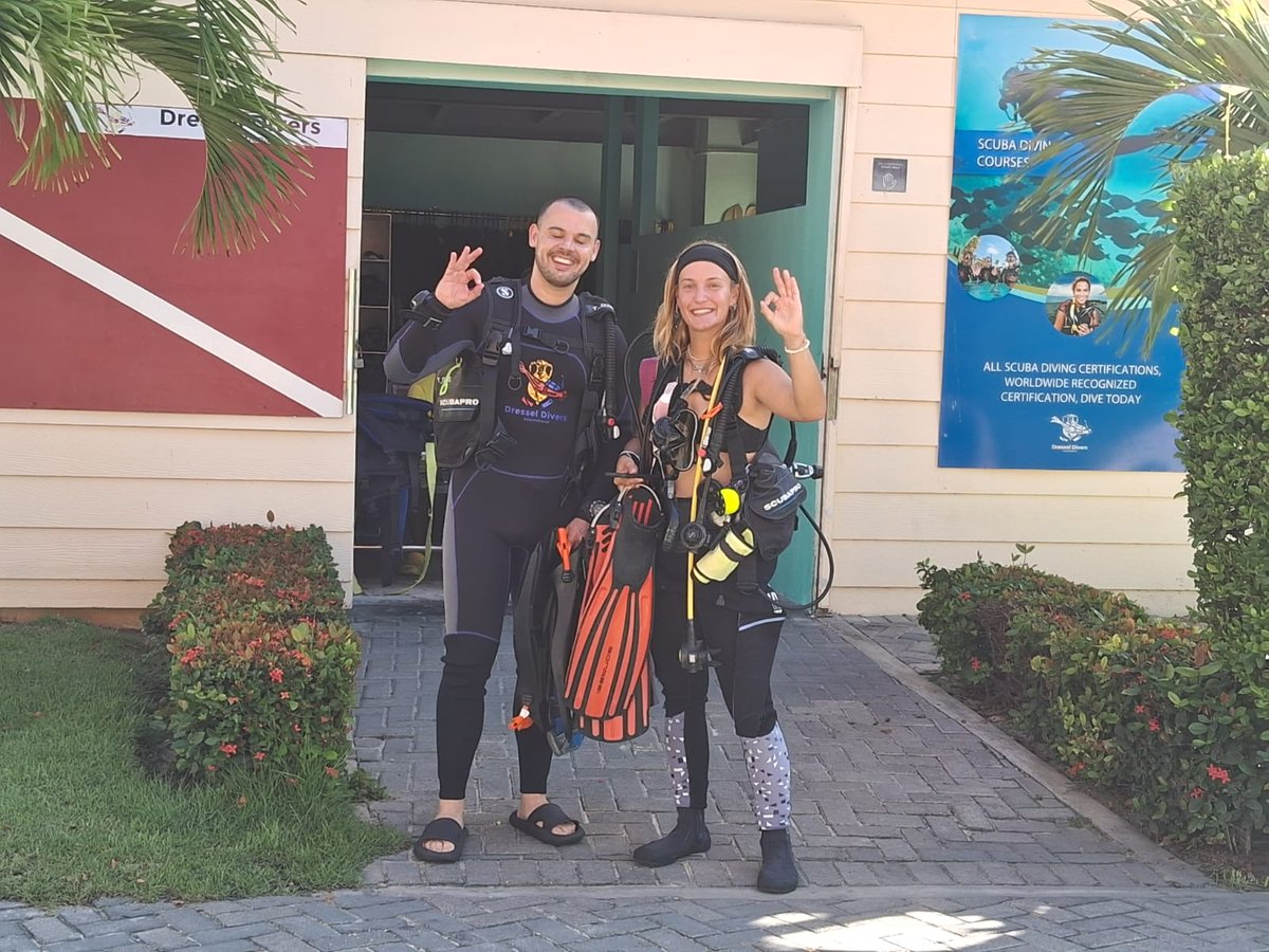DRESSELDIVERS tweet media