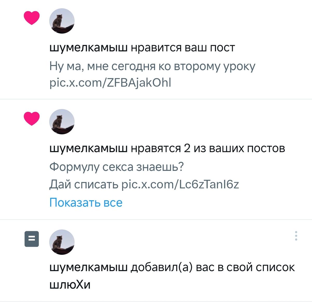 вафля 🧇 tweet media