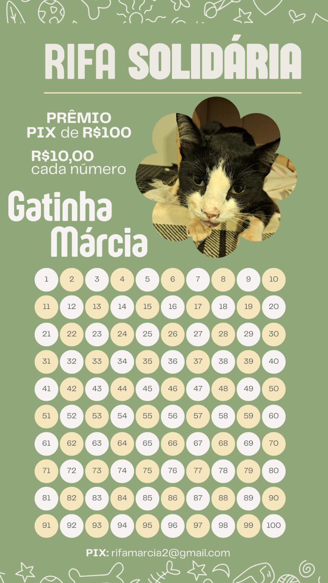 froggyullya's tweet photo. A gatinha da minha prima foi atropelada, estou fazendo rifa para ajudar com os custos, ajudem a Gatinha Márcia tadinha https://t.co/X4i6WMbMG7