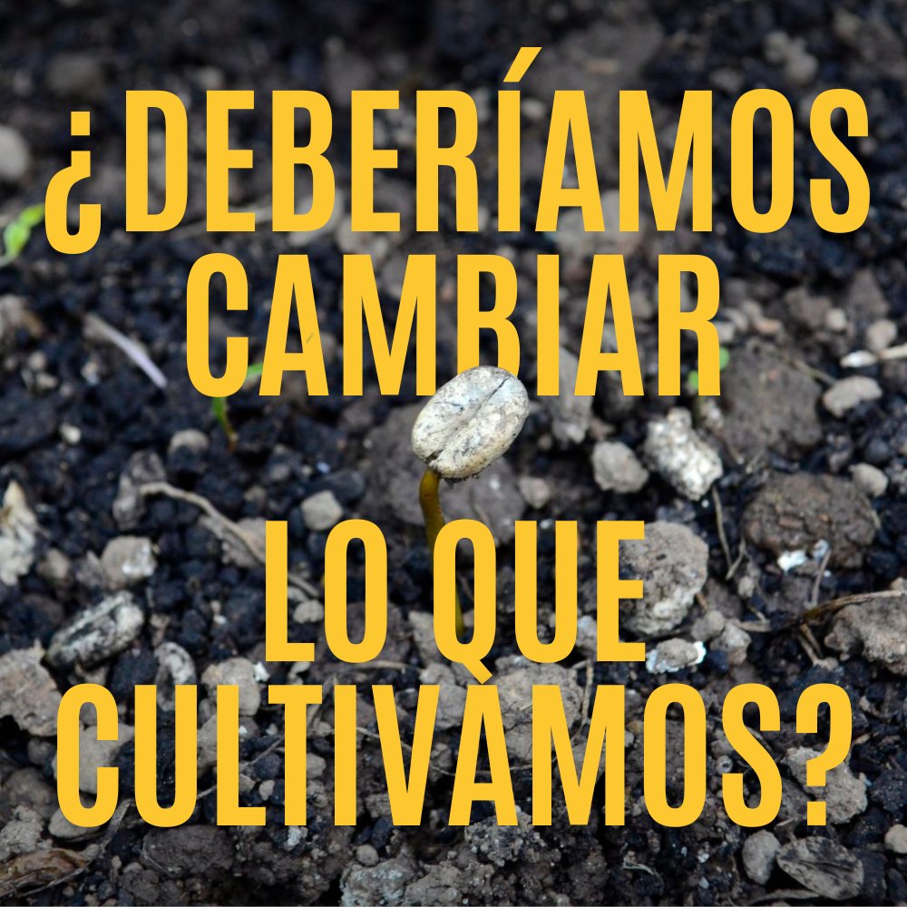 Alianza de Bioversity International y el CIAT tweet media