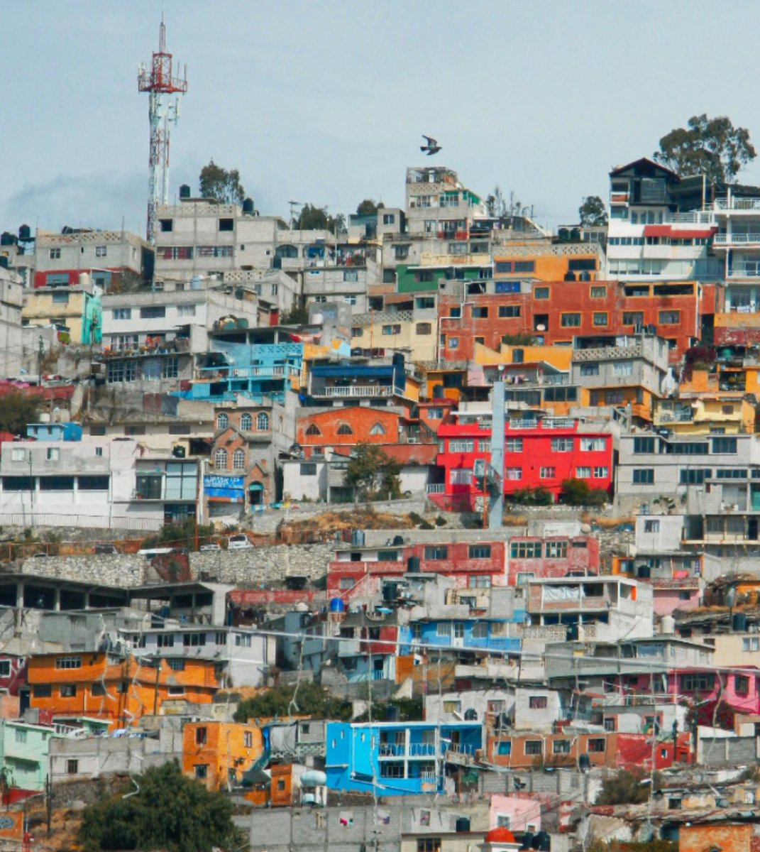 Aguacate 🌐🏗️🏘️🏛️🌁 tweet media