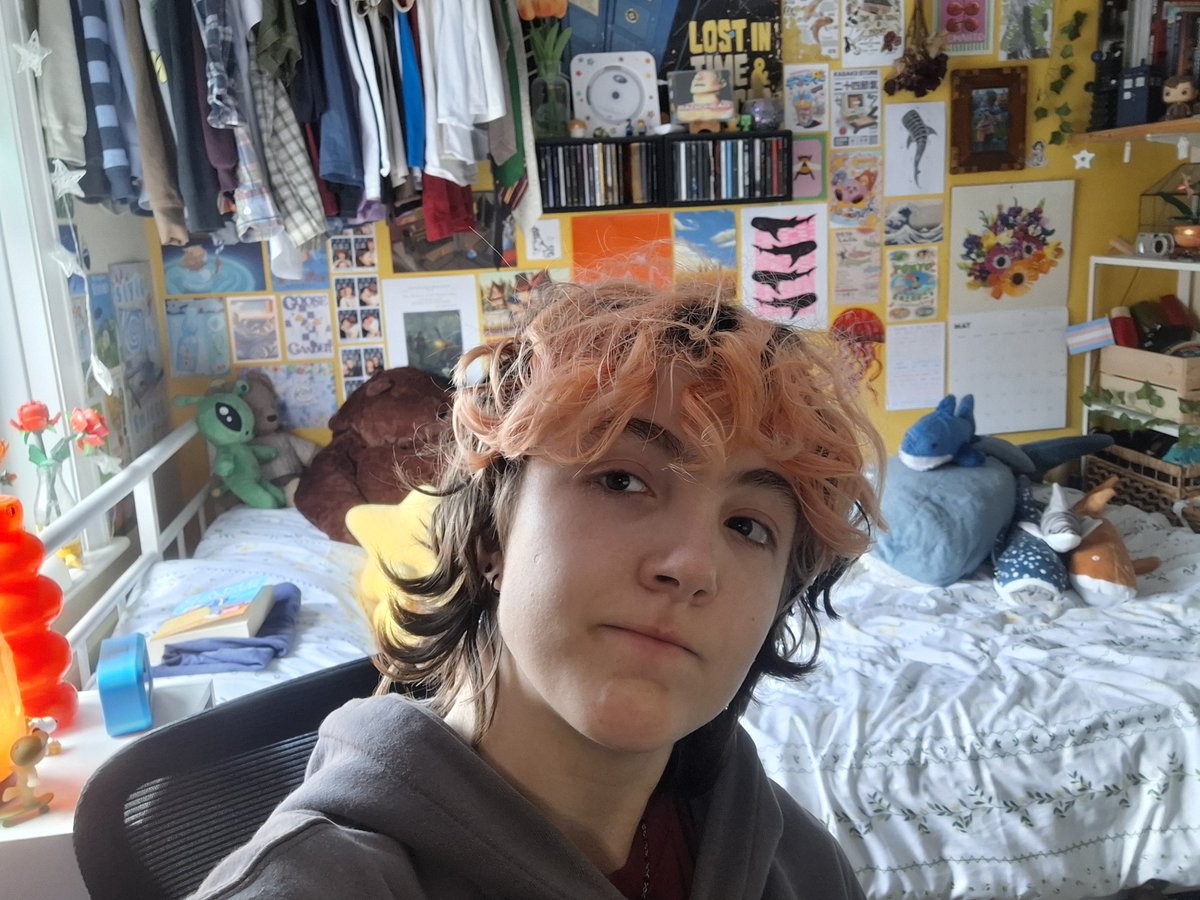 SoftieRobin's tweet photo. IM BACKKK!!!! welcome to my new room, I can't wait to stream from this new angle, I hope y'all enjoy it too :D

On today's stream I'm playing Minecraft Hide and Seek with my SMP members, as well as mayhaps opening a pack of Pokemon cards...

https://t.co/D1pa0Yl8iP https://t.co/MCMaGLTSa8