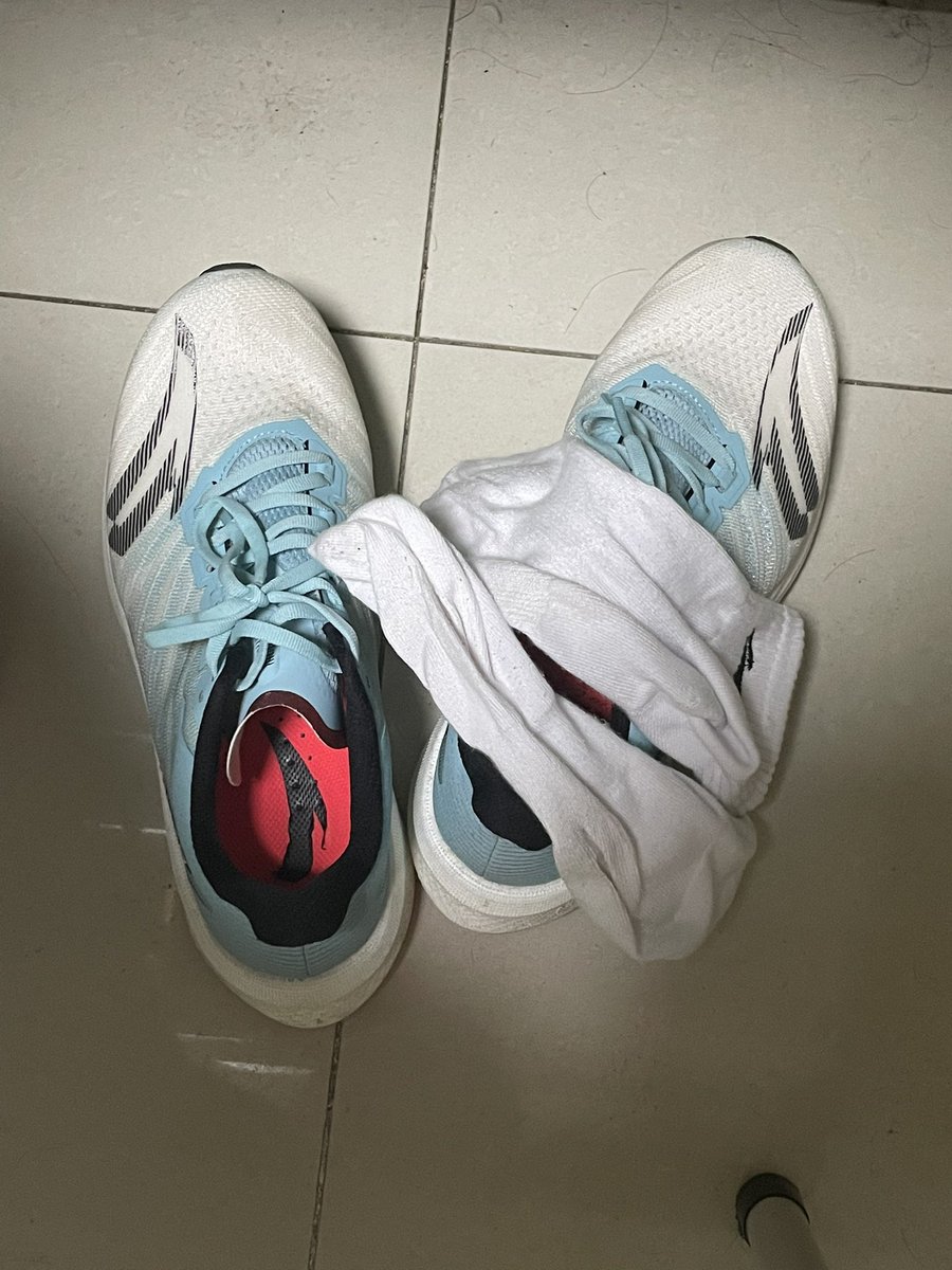 Bert_ggx's tweet photo. 没人喜欢运动小狗吗，每天小跑一下 https://t.co/Rv8zjuFbQ1