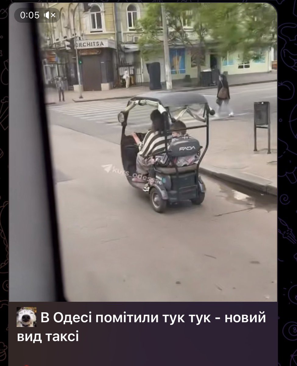 Дама з поліном 🎧 збір tweet media
