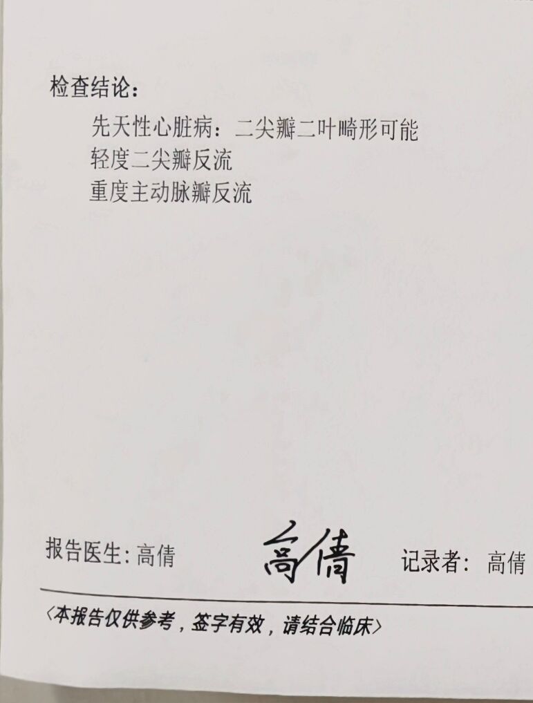 去南极露营 tweet media