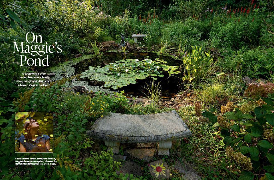 PatrickNWF's tweet photo. Building a Backyard Pond: A daughter’s school project becomes a group effort, with a backyard pond bringing #biodiversity—and a family—together. #wildilfe https://t.co/zYqI01BPlB https://t.co/2qyerlny40