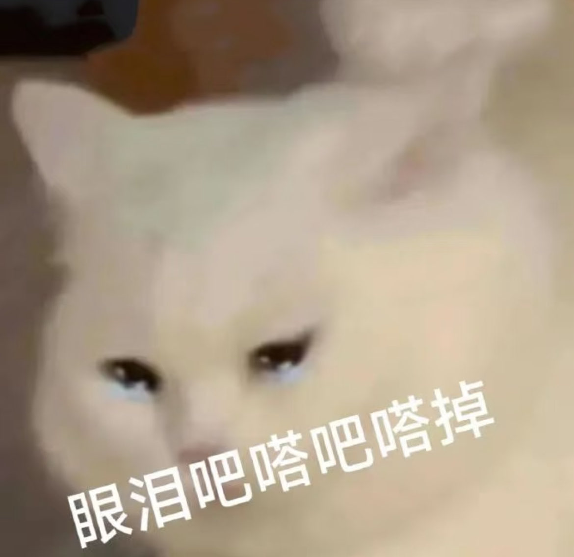 阿禾 tweet media