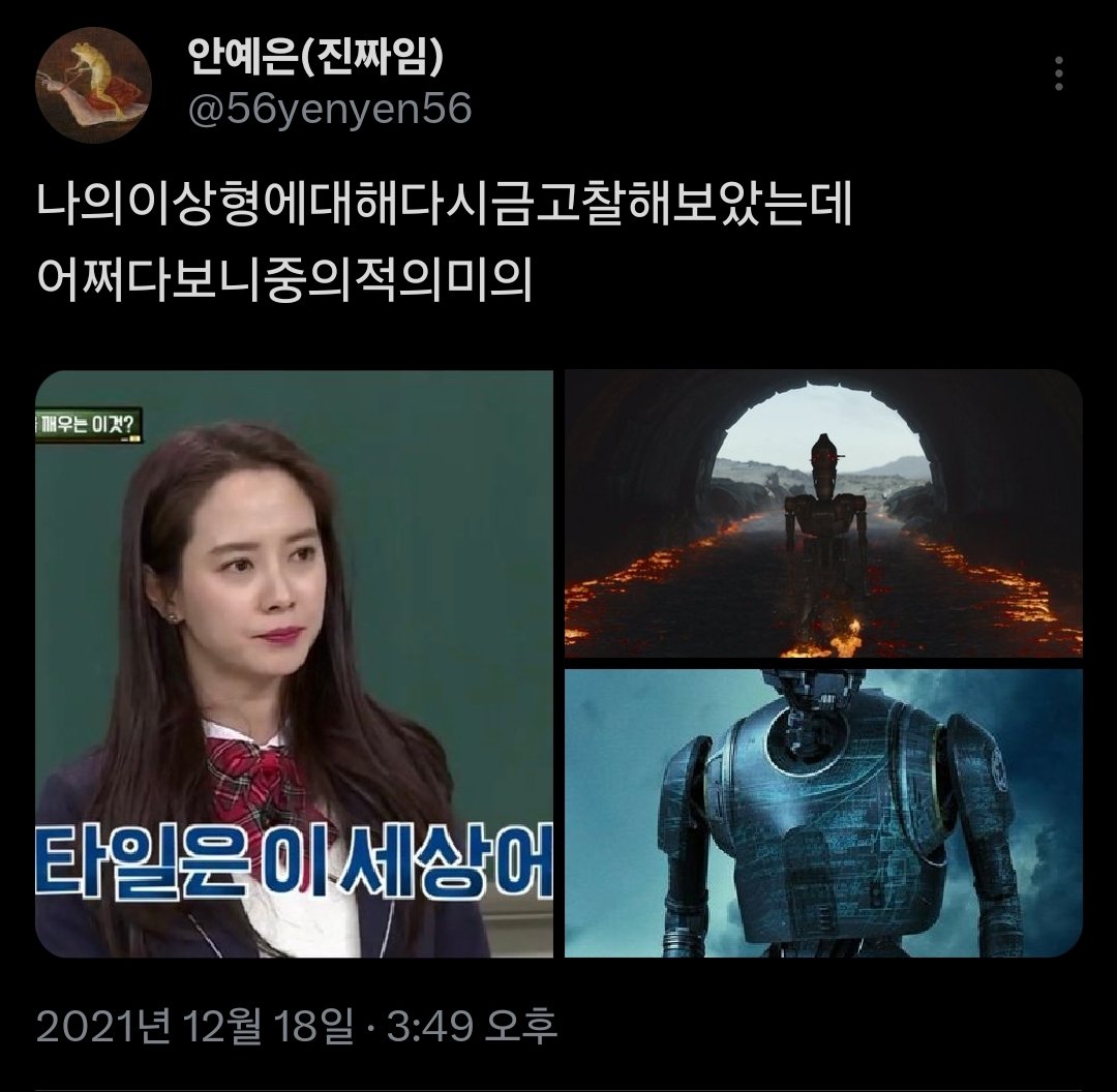 _시그님 (🪖 5/26 ~ ) tweet media