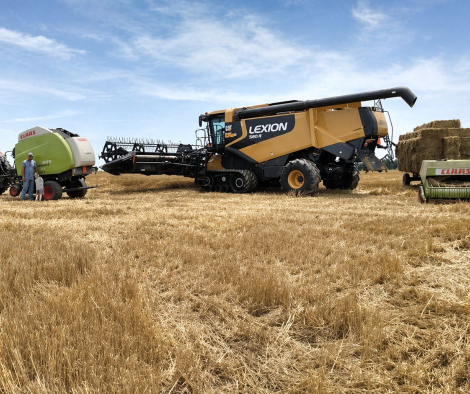 FosterAgri's tweet photo. Bring on bale season. 

Make sure you have the right baler for the job: https://t.co/bbQHLXKb4r

📸: Owen Snyder

 Call us today at +1 780-354-3622

#CLAASDealer #StrawBales https://t.co/d4919HHSrn