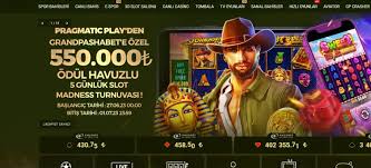 AlaniBosco's tweet photo. 💸🔥 GRANDPASHABET’te bonus fırsatları yine konuşuluyor!
💸 Yeni üyelere özel kampanyalar ve sürpriz promosyonlar aktif 👀
🎰 Slot • Canlı Casino • Spor Bahisleri

🔗 [https://t.co/VuW4fTaFGU]

#grandpashabet #bonus #denemebonusu #casino
 #denemebonusu #casino #bahis https://t.co/LUVt1smKYS