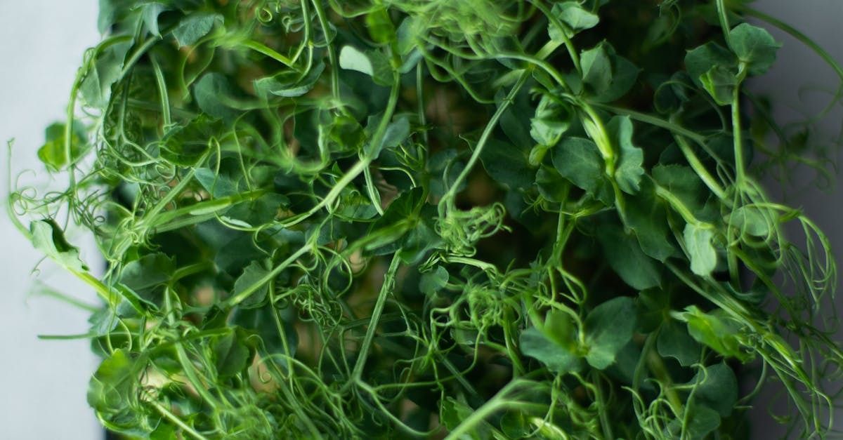 AgTechBreakthrough tweet media