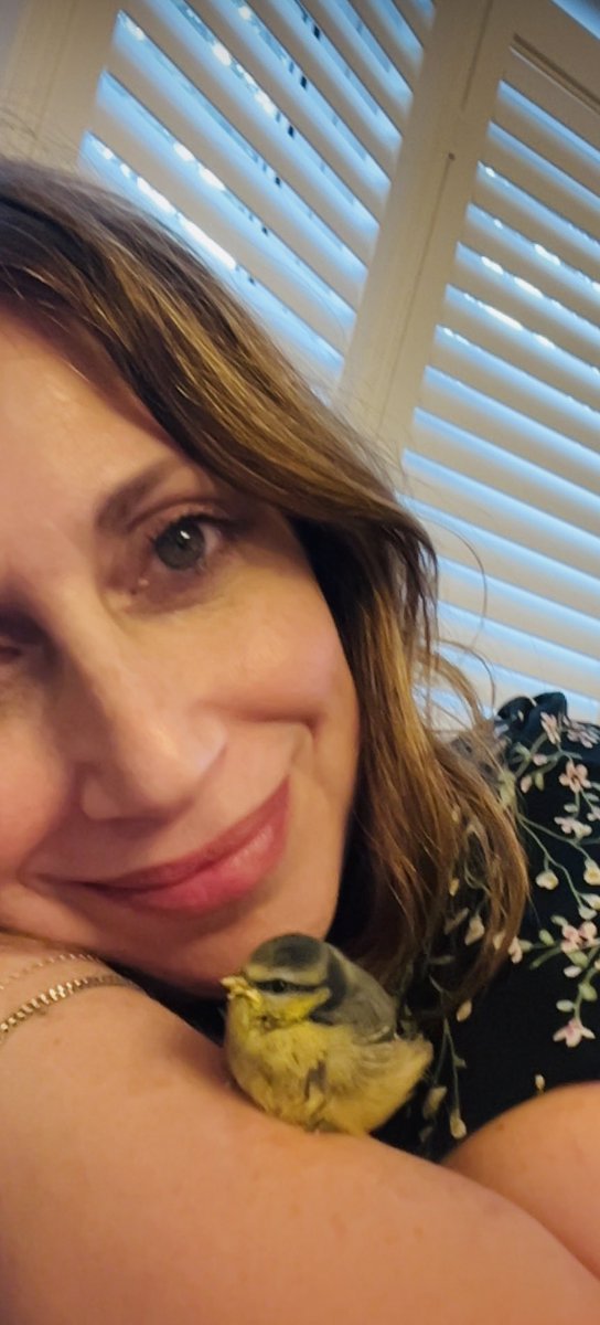 Shelley Blond tweet media
