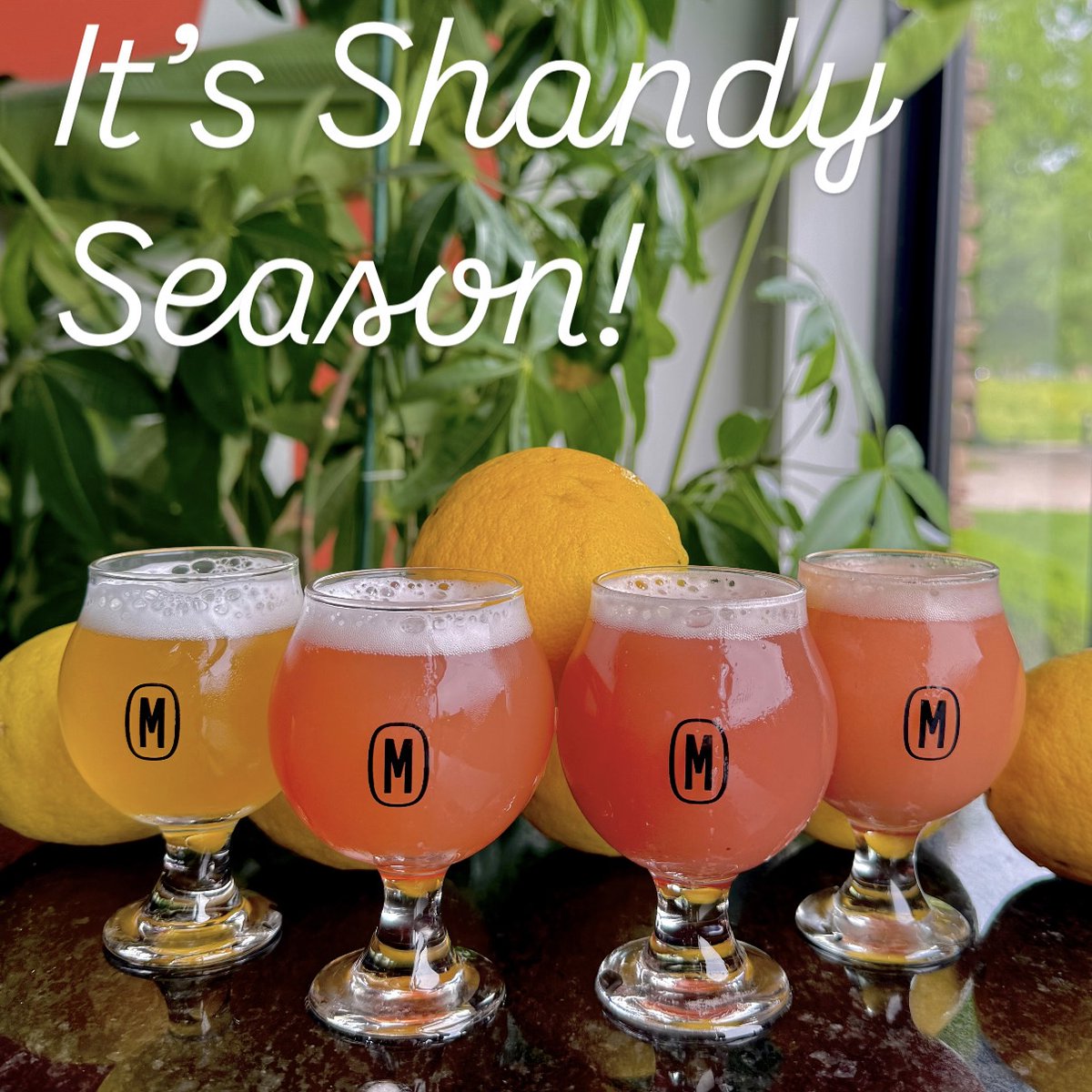 MonolithicB's tweet photo. Shandy season is in full swing and we have four different Shandies on tap to start the week. Crowlers are available!

-Monolithic Lemon Shandy 

-Pretty in Pink w/ strawberry and prickly pear purée.

-Strawberry Banana Shandy 

-Cherry Limeade Shandy

The taproom opens at 3 p.m. https://t.co/3v3LQiJhod