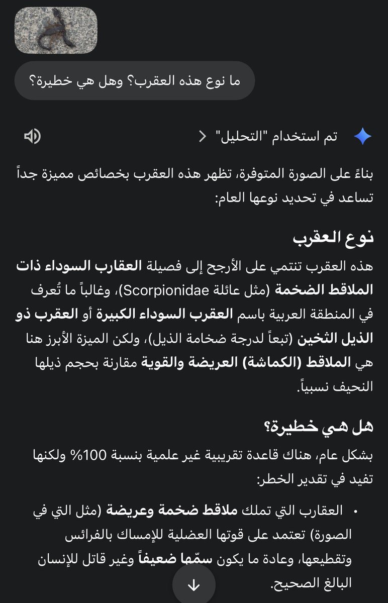 أبو عُــــــلا tweet media