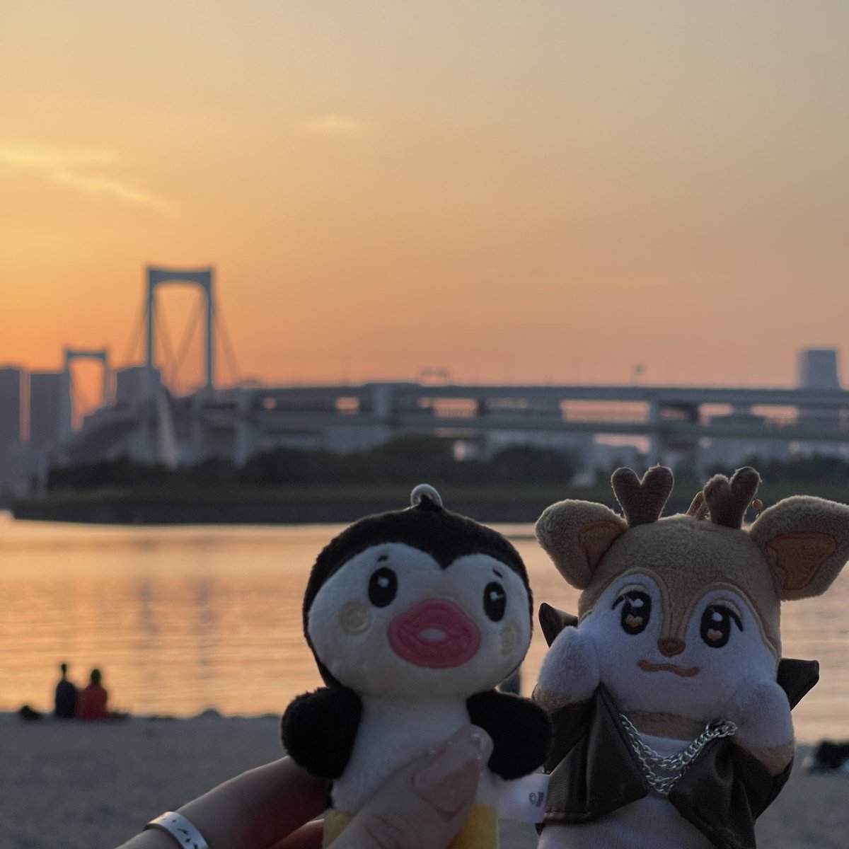 nex2ymoya's tweet photo. メクス後ははなちゃんと
お台場デートして来たよ🫶
色んな話出来て楽しかったー！
帰り際に外で夜景見ながらDuolingoで韓国語を
一緒にやった🤣
こんな素敵なDuolingo初めてww https://t.co/wXuvo2quFh