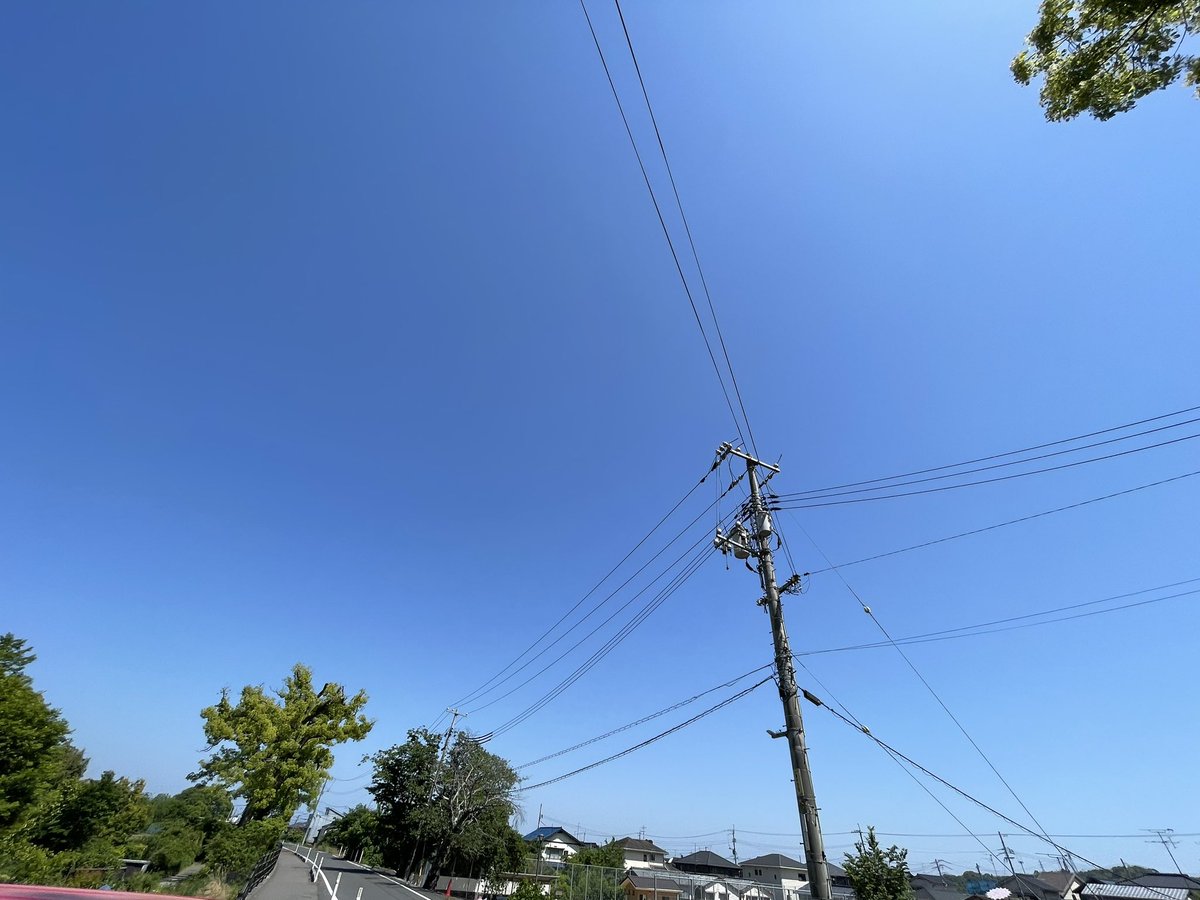 すぎもと tweet media