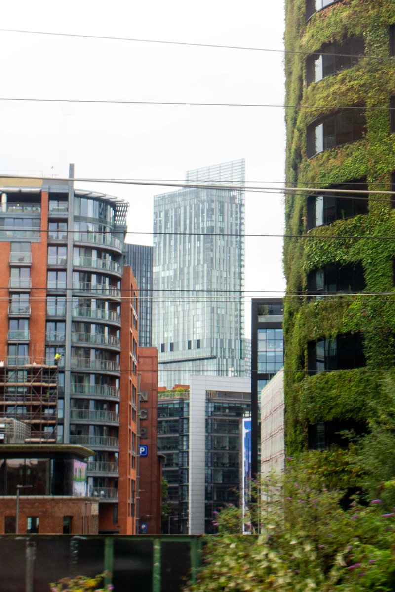 PhotoTjv's tweet photo. Irwell Street Cityscape
(Irwell Street, Salford, Manchester, July 2025)
#photography #landscapephotography #streetphotography #urbanphotography #urbanlandscape #cityscape #modernarchitecture #skyscrapers #viaduct #railviaduct #greenwalls #Salford #Manchester https://t.co/Yt6Bwtz0dJ