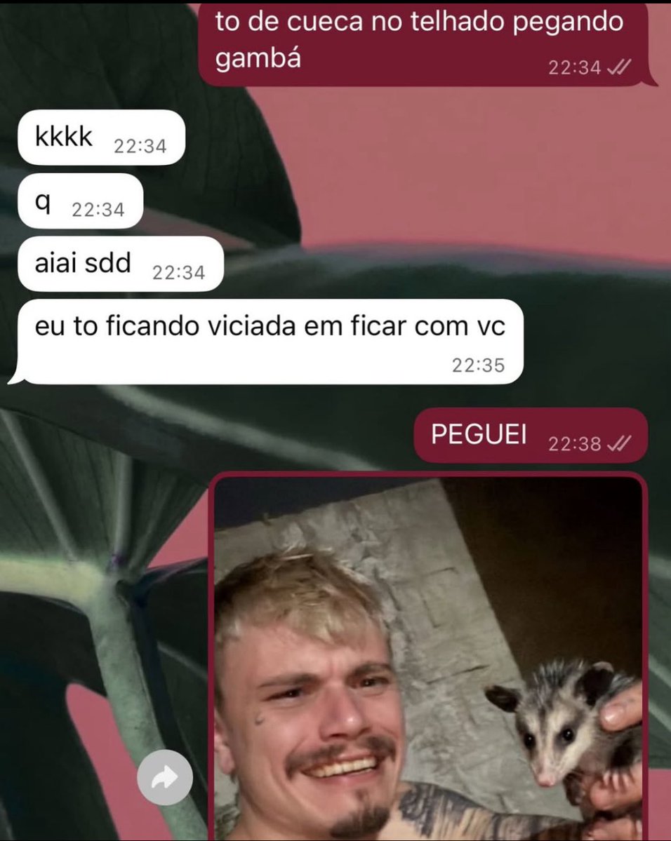 isso é o mais puro suco do Brasil tweet media