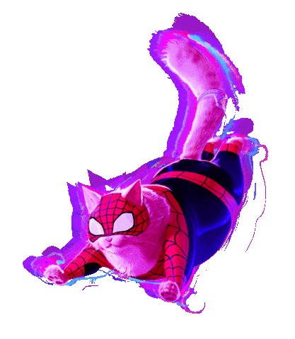 Black Cat tweet media