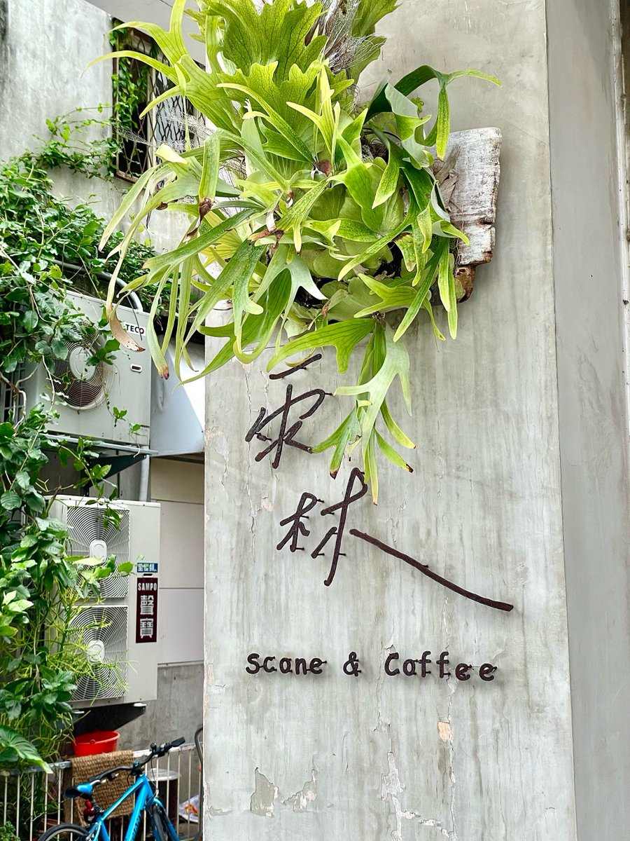 Heydone2's tweet photo. [Just had the fluffiest matcha scone with a hot latte—this morning’s little win tastes like pure joy!]， https://t.co/vmiUmmUWrd