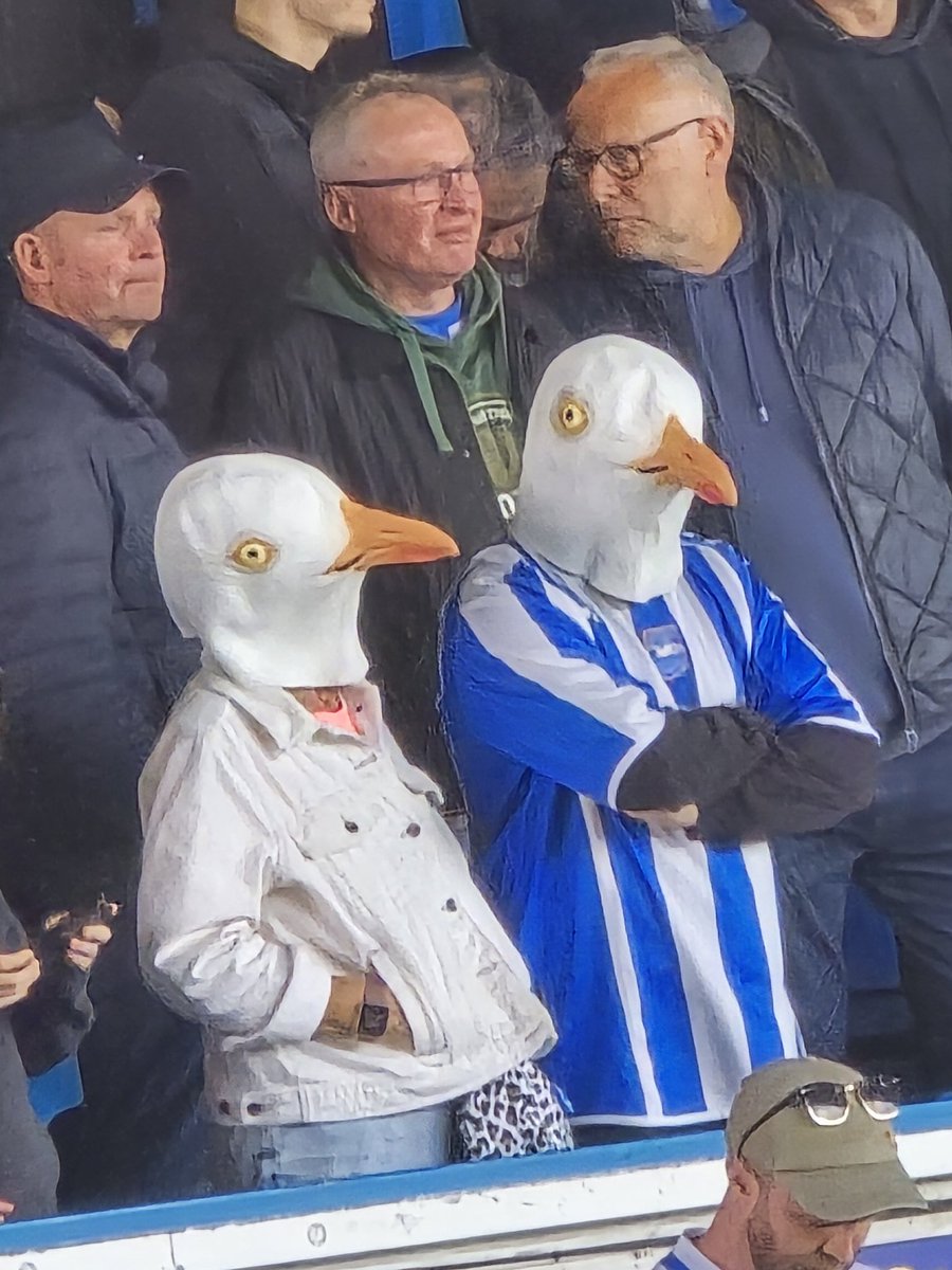 LFoxy96's tweet photo. @bethgabriel_ There was multiple with the mask. Managed to snap a pic of a couple https://t.co/Idqe8oGZBh