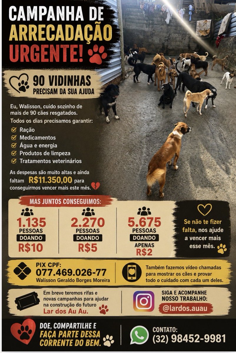 🏠Lar Dos Au-Au🐾🐶90 Cãezinhos tweet media
