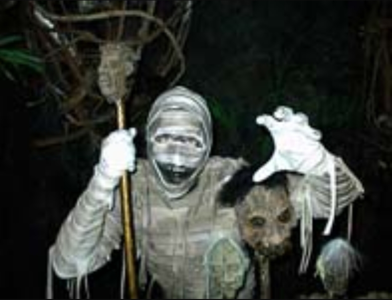 HHN Wiki tweet media
