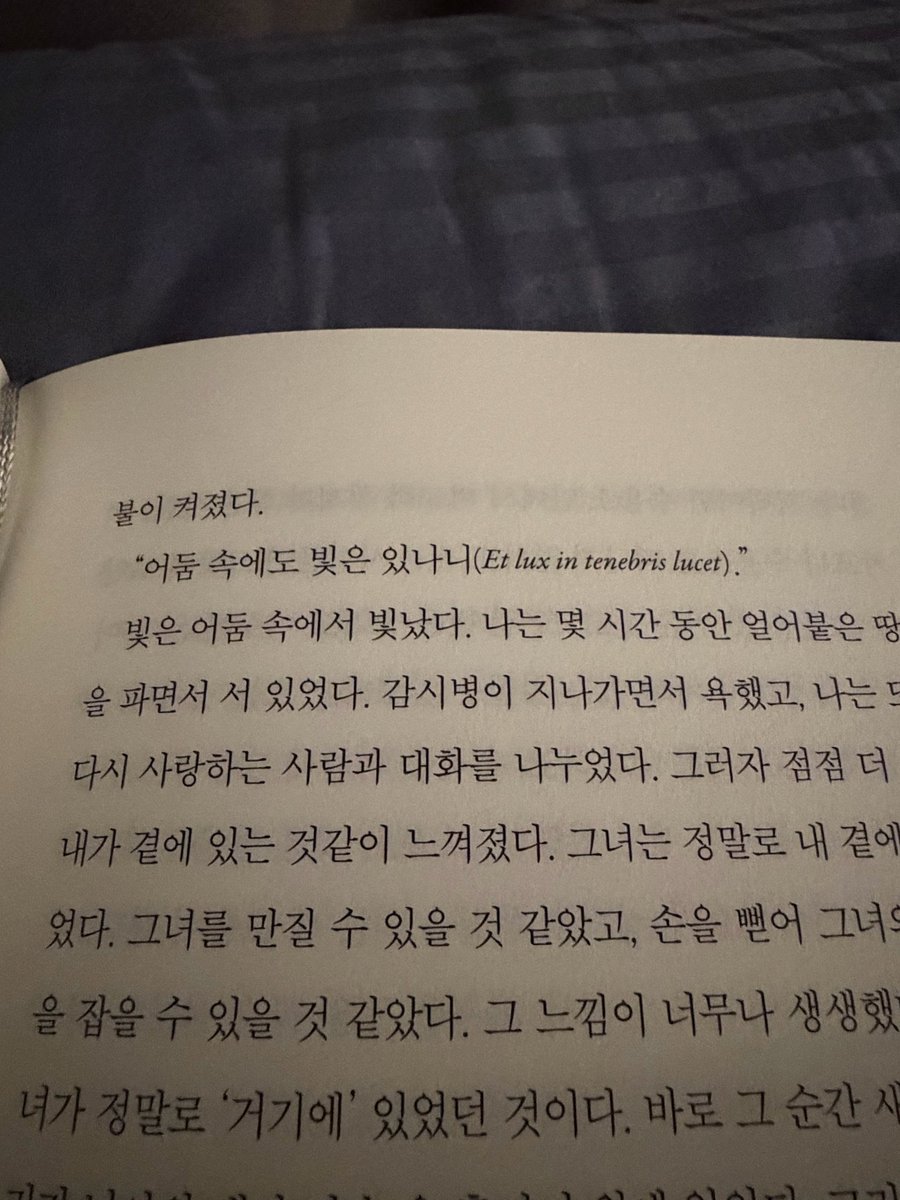 도기 tweet media