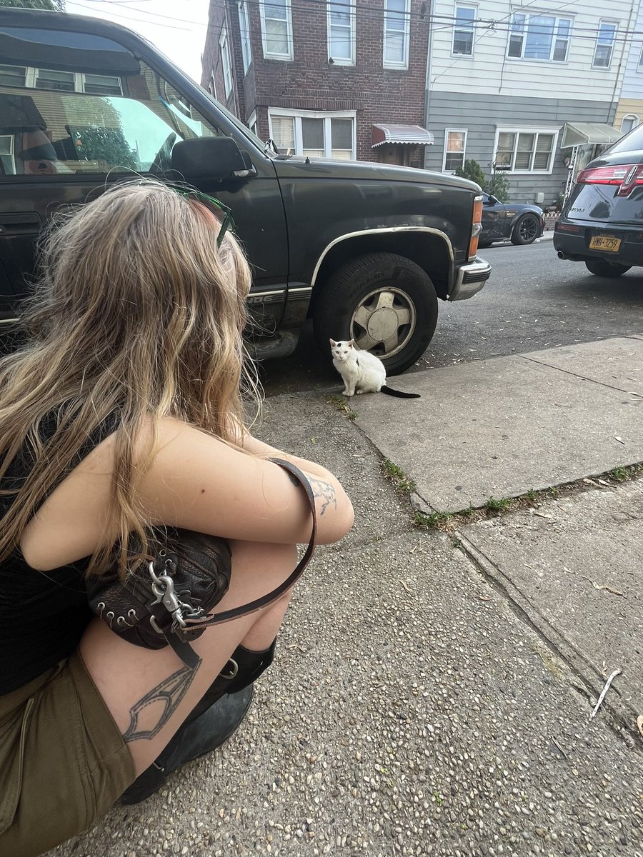 C4RM1LLA's tweet photo. lulu looking at cat https://t.co/tj5LYmAvnp