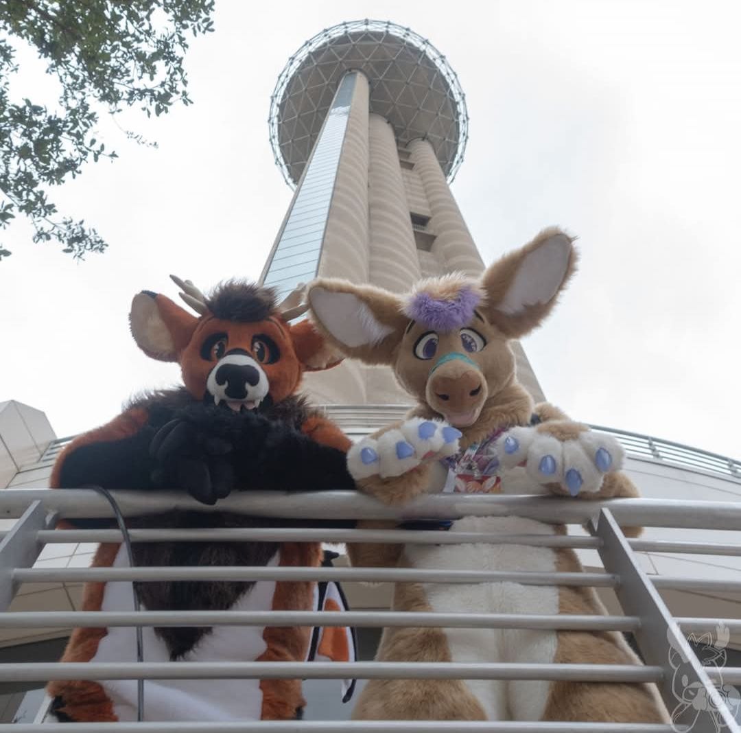 🩹☀️🌵Bandaid Roo!🌵☀️🩹➡️TFF, LVFC tweet media