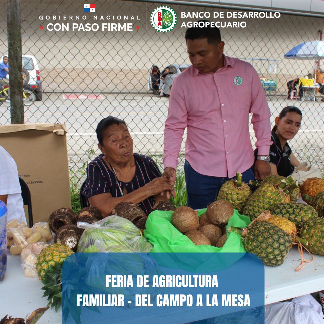 BDAPANAMA's tweet photo. 🌾🤝 El BaDa XXV participó en la Feria de Agricultura Familiar – Del Campo a la Mesa, realizada en el distrito de Changuinola, provincia de Bocas del Toro, reafirmando su compromiso con el fortalecimiento del sector agropecuario.
#BDAgroInfo #ConPasoFirme https://t.co/yffHpuAlSP