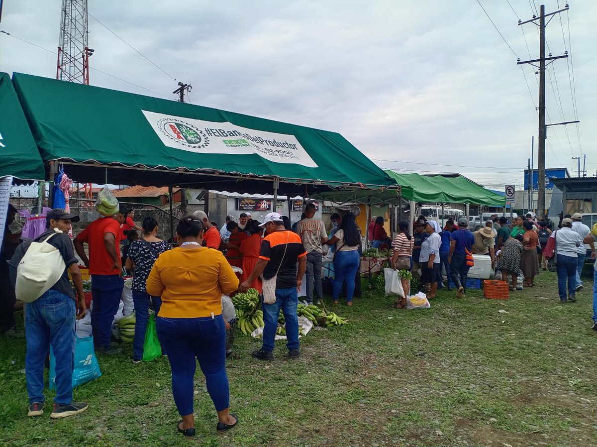 BDAPANAMA's tweet photo. 🌾🤝 El BaDa XXV participó en la Feria de Agricultura Familiar – Del Campo a la Mesa, realizada en el distrito de Changuinola, provincia de Bocas del Toro, reafirmando su compromiso con el fortalecimiento del sector agropecuario.
#BDAgroInfo #ConPasoFirme https://t.co/yffHpuAlSP