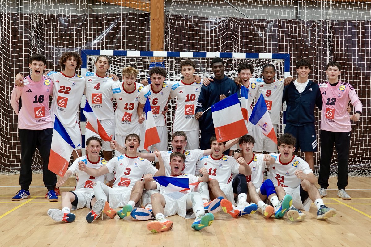 FFHandball tweet media