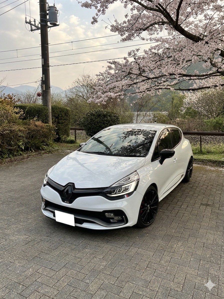 wing3298's tweet photo. @abarth_full1 素敵！(私もルーテシアに乗るフルイチ🤭) https://t.co/vHVNMKQNT5