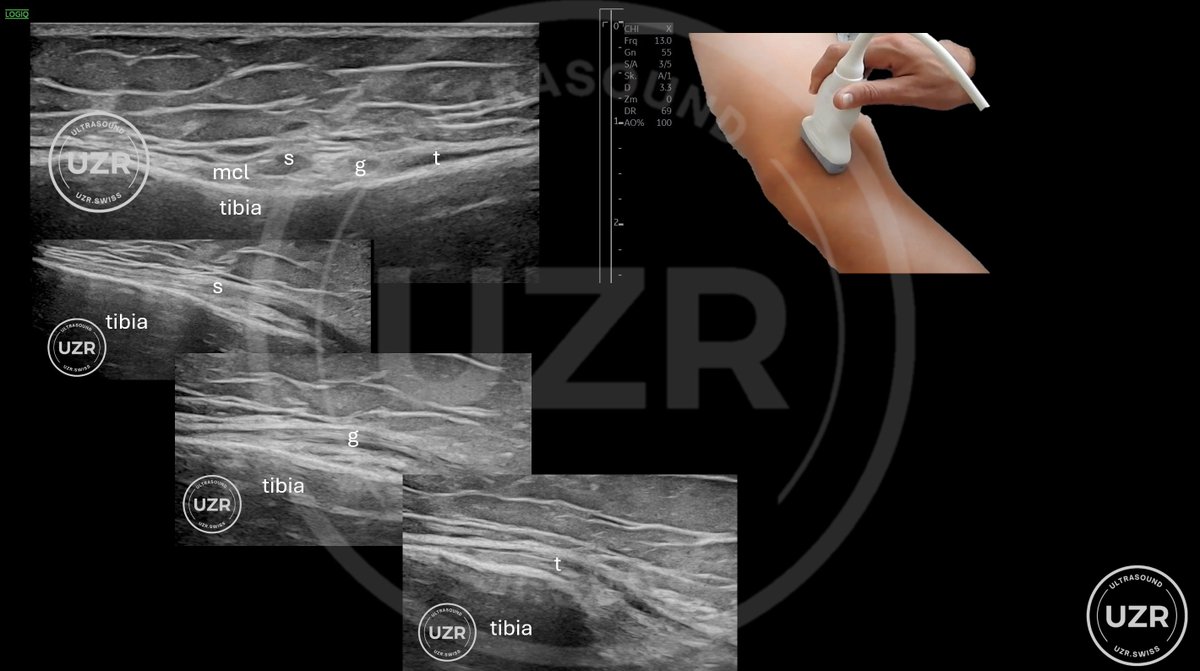 Rheumatology's tweet photo. We have now 2,734 FREE Images in our Database
https://t.co/ddUAKphI6O https://t.co/5rSIU8VxN6