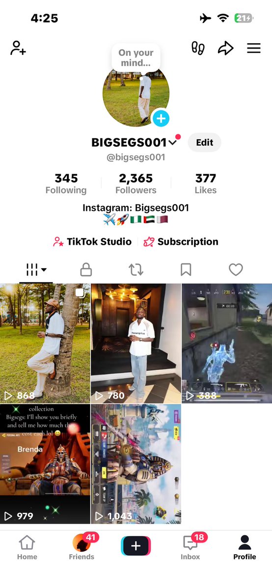 BIGSEGS001 tweet media