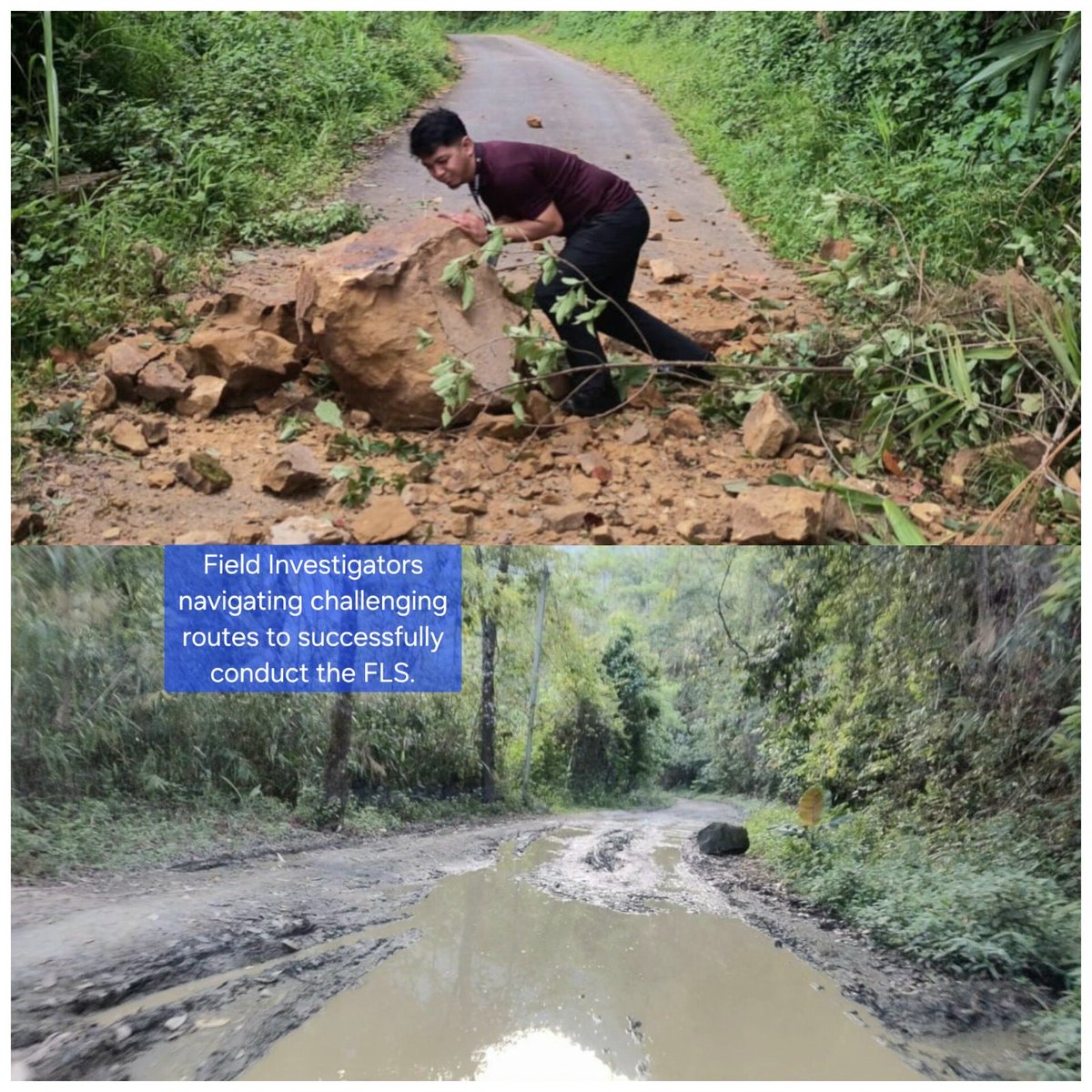 indranibhaduri's tweet photo. #FoundationalLearningStudy implemented in #Mizoram by #PARAKH under the aegis of the Ministry of Education (#MoE) marking a systematic, evidence-driven effort to assess learning levels at scale and strengthen #FoundationalLiteracy&amp; #FoundationalNumeracy outcomes https://t.co/5ADzG7qZlA